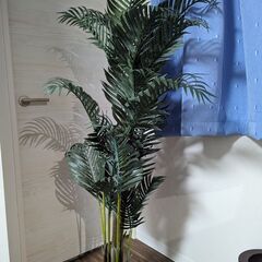 【フェイクグリーン】観葉植物  ケンチャヤシ　高さ1.4m