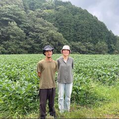 ☆自家製味噌作り☆　すべての素材が無農薬・無肥料・無除草剤 - 渋谷区