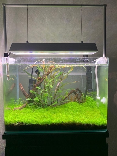 アクアリウム  熱帯魚飼育用品 一式