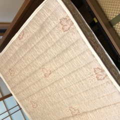 介護用ベッドシングル　☆取りに来てくれる方のみ