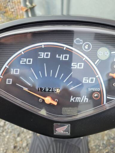 の しぐ かば adidas ZX 8000 GTX Golf JP5257 | OVERKILL