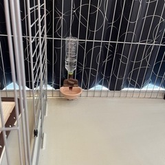 犬小屋　ゲージセット