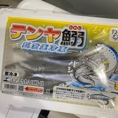 船釣りテンヤ用　冷凍イワシ８パック　特価！