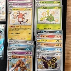 シャイニートレジャー【色違いセット】ネモ付き
