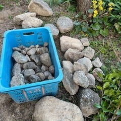 小石から大きめ石まで　庭石　無料！