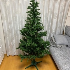 クリスマスツリー　あげます