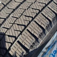 オペルクリカリアヒファエノイデス根挿し株③☆発芽済☆ 鉢ごと発送-値下げ～スタッドレス４本アルミホイールセット