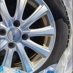 オペルクリカリアヒファエノイデス根挿し株③☆発芽済☆ 鉢ごと発送-値下げ～スタッドレス４本アルミホイールセット