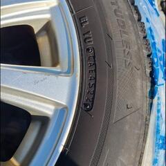 オペルクリカリアヒファエノイデス根挿し株③☆発芽済☆ 鉢ごと発送-値下げ～スタッドレス４本アルミホイールセット