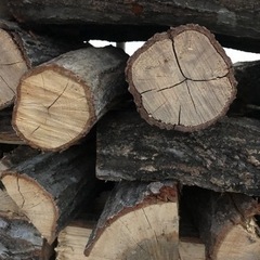 ナラ乾燥薪⭐︎長さ約360mm☆ビニールハウス乾燥⭐︎軽トラック一杯