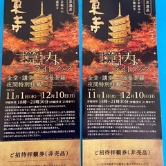 決まり！京都の東寺の紅葉ライトアップの拝観チケット