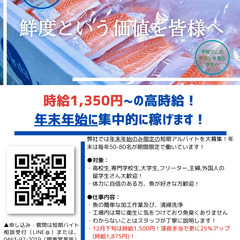 時給1,500円の高時給！年末だけ集中的に稼げます！魚の加工セン...