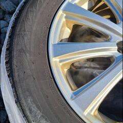 オペルクリカリアヒファエノイデス根挿し株③☆発芽済☆ 鉢ごと発送-値下げ～スタッドレス４本アルミホイールセット