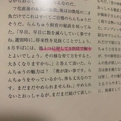 らんちゅう　書籍　金魚伝承