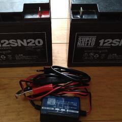 ST1220（12V20Ah）2個 + スーパーナット充電器（1...