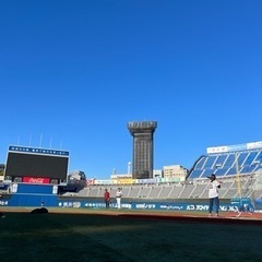 横浜スタジアムで野球やりませんか？🏟️⚾️ - 横浜市