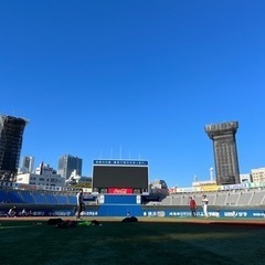 横浜スタジアムで野球やりませんか？🏟️⚾️の画像