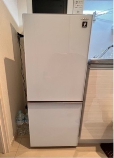 初売り】 SHARP 冷蔵庫 プラズマクラスター137L 2ドア 冷蔵庫
