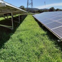 太陽光発電所の除草作業(除草剤散布)