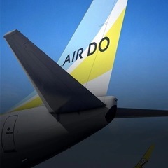 【ネット決済・配送可】AIR DO 航空券　12月20日