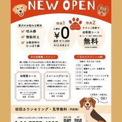 犬の幼稚園NEW OPEN【鶴見区】