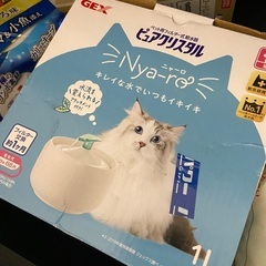 猫用　給水器