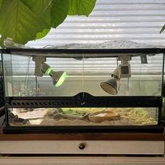 ゲージ　ライト　シェルター