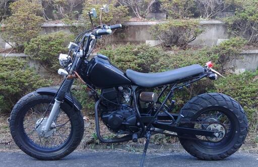 TW200　ロンスイ　(No.2025) TW200 ロンスイ (No.2025)