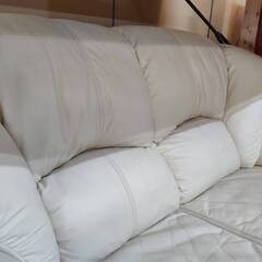 【愛品倶楽部柏店】在庫2点！Leatherworld / ニトリ 本革2人掛けソファ マンゴスティン