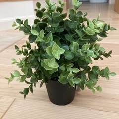 ※交渉中※IKEA   フェイカ　オレガノ　人工観葉植物