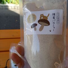 椎茸パウダー