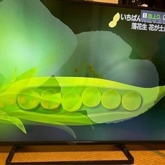 テレビ　Panasonic 2015年式　50インチ　リモコン付き　中古