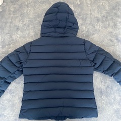 ピレネックス スプートニックソフト