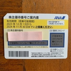 ANA株主優待券　2024年11月まで有効