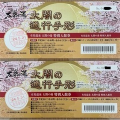有馬温泉太閤の湯　入館券2枚　2024.5まで有効