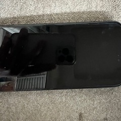 iPhone15Pro Max 256GB