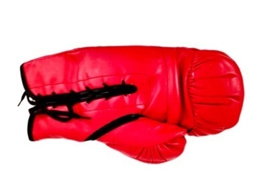 マイク・タイソン サイン入りボクシンググローブ 限定1点‼️ マイク