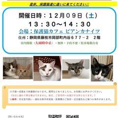 【緊急】保護猫の譲渡会