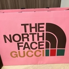 North face x GUCCI 紙袋