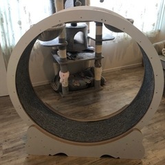 猫エクササイズホィール