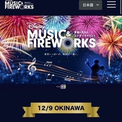 Disney MUSIC & FIRE WORKS 沖縄公演 B...