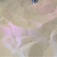 砂 砂遊び等に 10kg