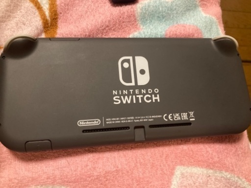 Nintendo Switch ライト　グレー