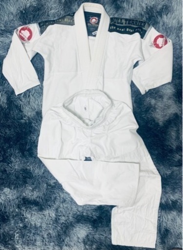 中古美品 振袖用 六通柄 袋帯 笠松桜花文様／金地 （b3230270-1732trymj）