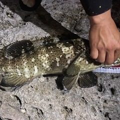 🐟沖縄打ち込み釣り🐟 − 沖縄県