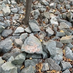 ガーデニング用　石　庭石　DIY