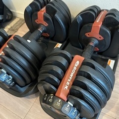 Bowflex ボウフレックス552i セレクトテックダンベル 1ペアとスタンド