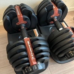 Bowflex ボウフレックス552i セレクトテックダンベル 1ペアとスタンド