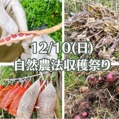 【自然農法】収穫体験