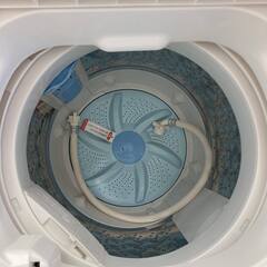 2017年製造　TOSHIBA 全自動洗濯機 (1年半ほど使用)
